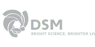 Logo DSM